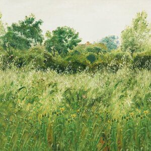 Wallpaper Mural Summer Fields